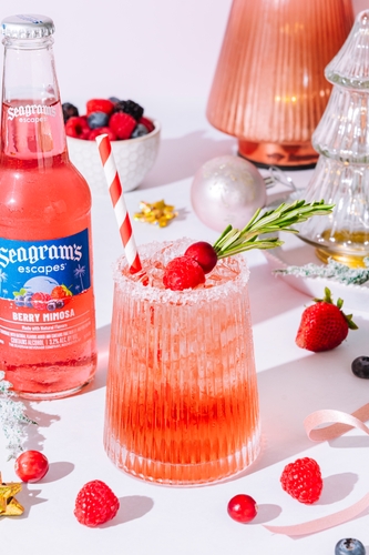 Berry Merry Spritz Photo